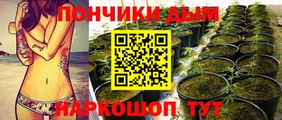 спиды Кандалакша