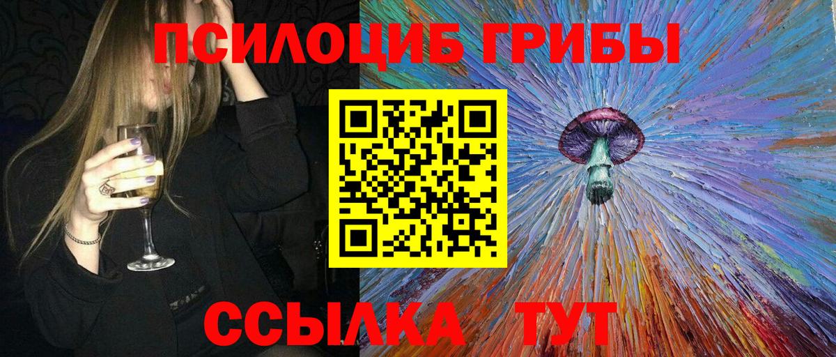 Псилоцибиновые грибы Psilocybine cubensis  где купить   Кузнецк  Вход с VPN 
