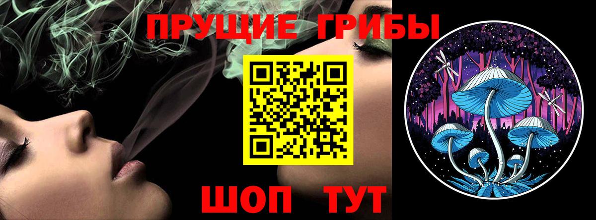 Псилоцибиновые грибы GOLDEN TEACHER Кузнецк